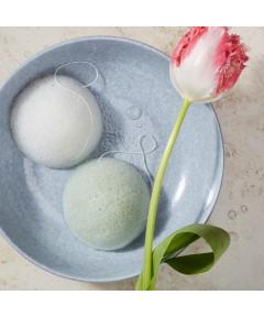 PARSA WELLNESS Konjac Aloe Vera sejas attīrošā sūklīte