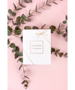 Svētku dāvanu kaste