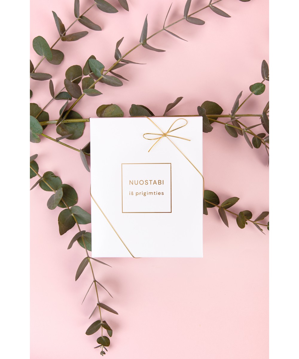 Svētku dāvanu kaste 2